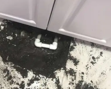 张掖市查漏水哪家好